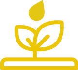 plants icon